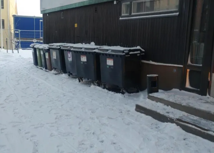 Arctic רובניימי